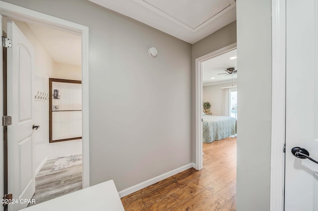 hall featuring wood-type flooring