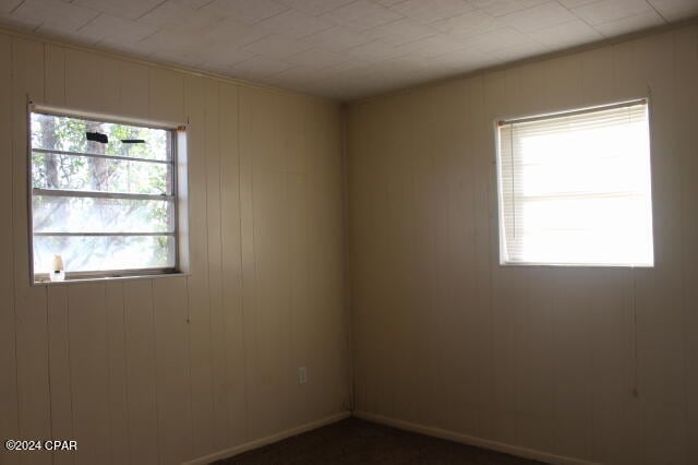 spare room with a wealth of natural light