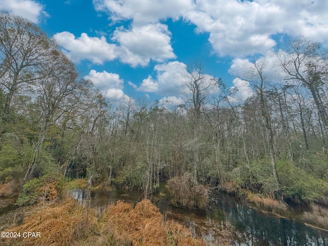 Listing photo 3 for TRACT6409 NE River Rd, Caryville FL 32427