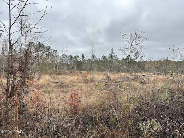 TRACT6402 S Chance Rd, Chipley FL, 32428 land for sale