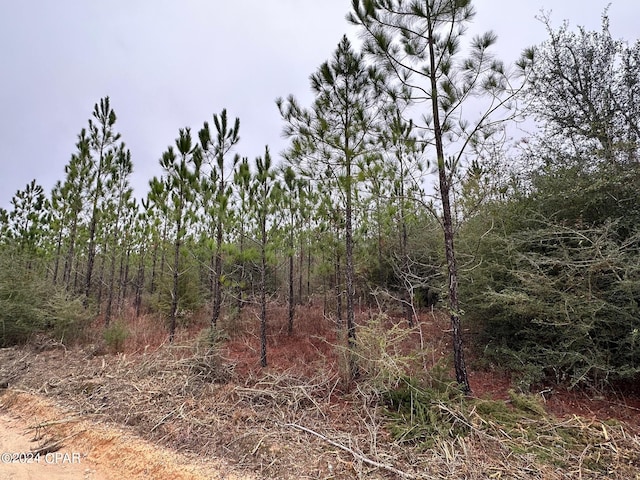 TRACT6418 S Mattox Springs Rd Unit 4, Caryville FL, 32427 land for sale