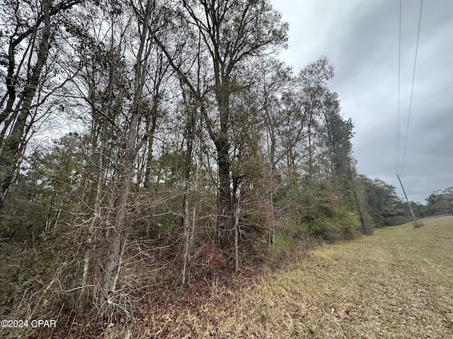 Listing photo 3 for TRACT6326 Tri County Rd, Graceville FL 32440