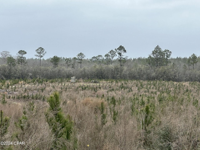 Listing photo 2 for TRACT6336 Sand Path Rd, Bonifay FL 32425