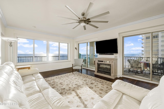 living room with ceiling fan, a fireplace, dark wood-type flooring, and ornamental molding