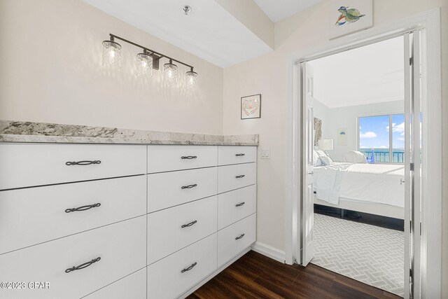 bathroom with vanity and wood-type flooring