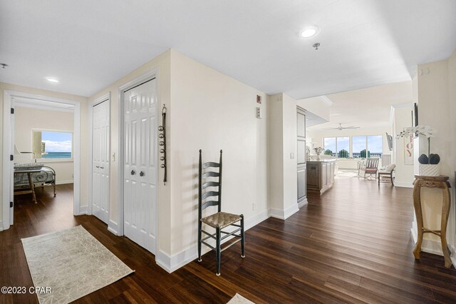 hall with dark hardwood / wood-style floors