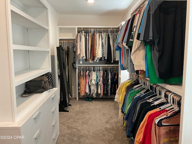 walk in closet with light carpet