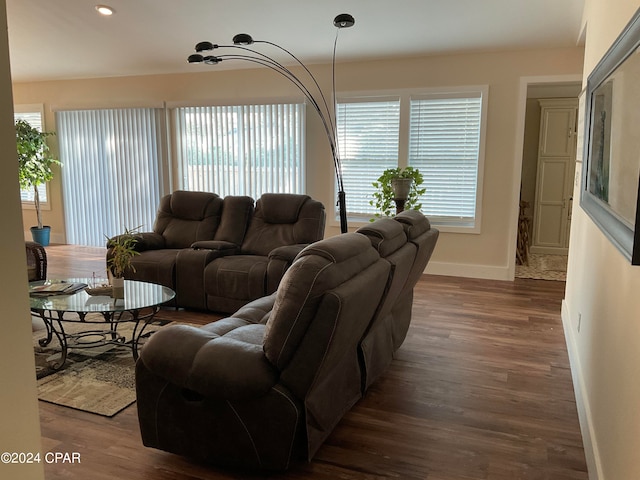 living room featuring dark wood-type flooring