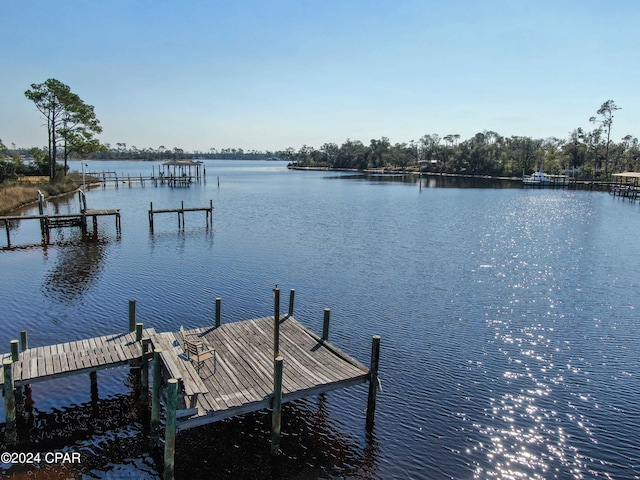 dock area featuring a water view