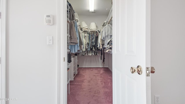 walk in closet with carpet