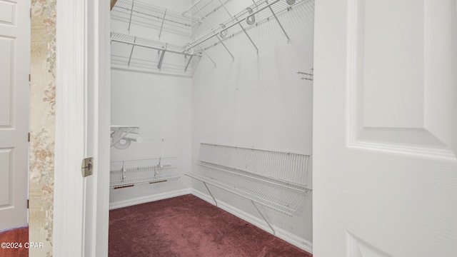 spacious closet with dark colored carpet