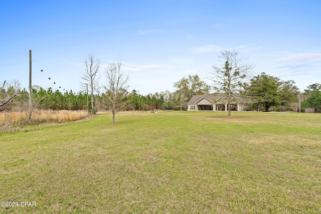 view of yard