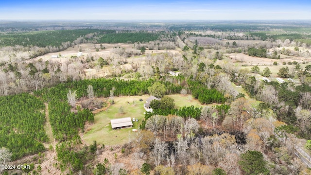 view of bird's eye view