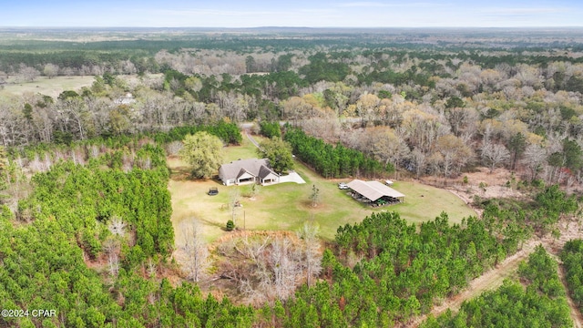 view of drone / aerial view