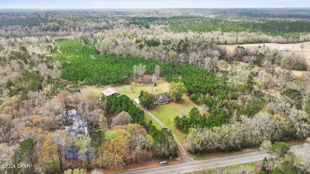 view of bird's eye view