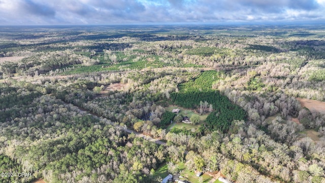 view of drone / aerial view