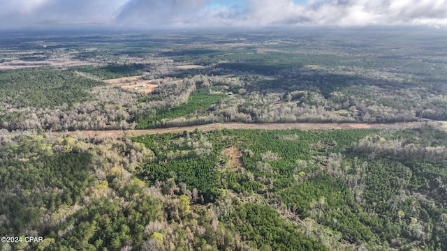 view of birds eye view of property