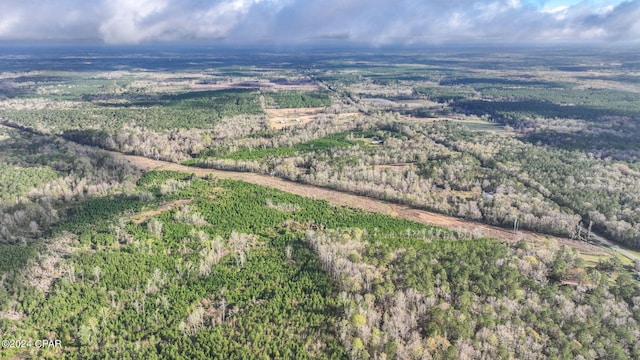 view of birds eye view of property