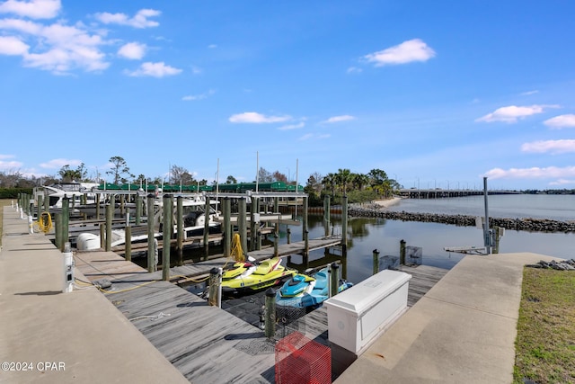 dock area with a water view