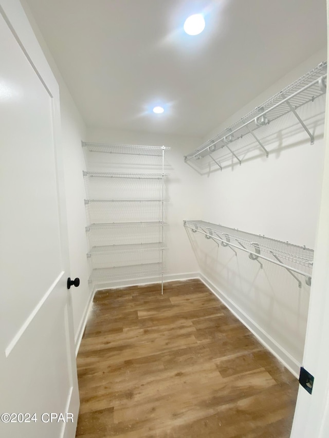 spacious closet featuring wood finished floors