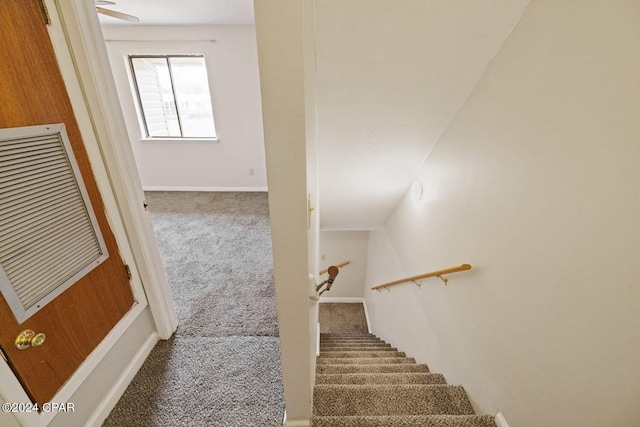 staircase featuring carpet