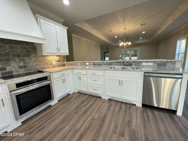 kitchen with sink, a raised ceiling, dark hardwood / wood-style floors, appliances with stainless steel finishes, and custom exhaust hood