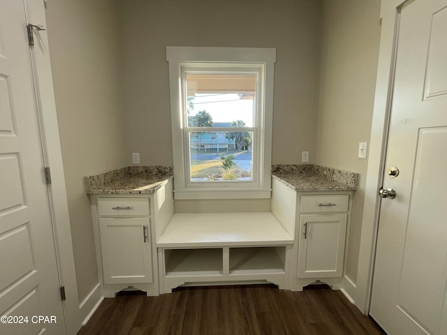 mudroom featuring dark hardwood / wood-style floors