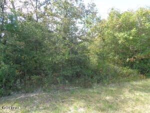 LOT7 NW Lake Mckenzie Blvd, Altha FL, 32421 land for sale