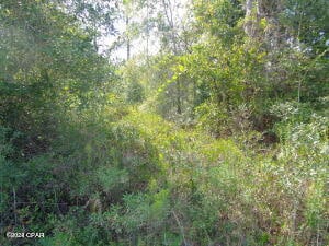 Listing photo 3 for LOT7 NW Lake Mckenzie Blvd, Altha FL 32421