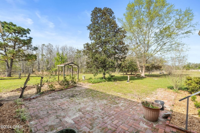 view of yard featuring a patio area