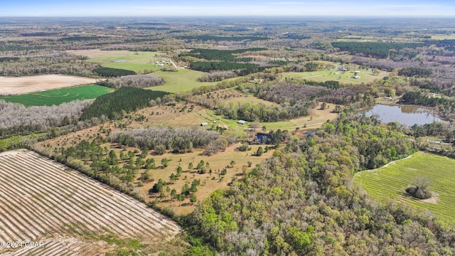 drone / aerial view featuring a rural view