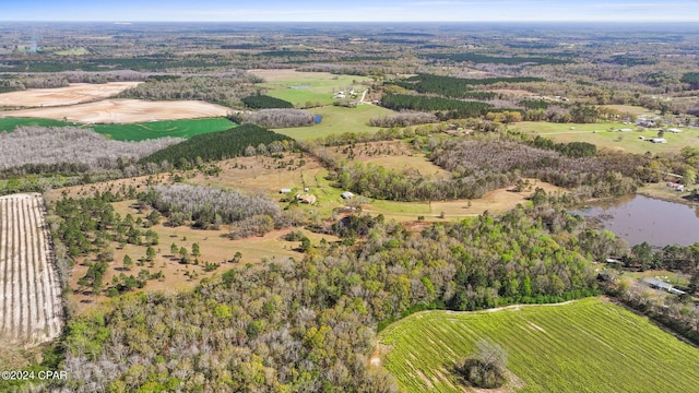 birds eye view of property featuring a rural view and a water view