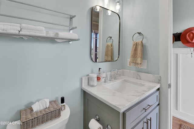 bathroom featuring wood-type flooring, vanity with extensive cabinet space, and toilet