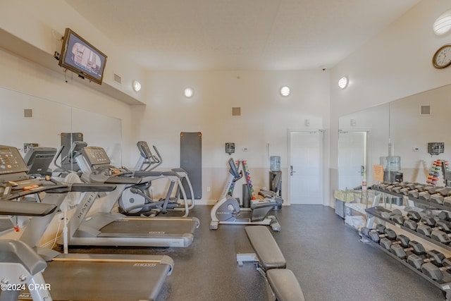 workout area with a high ceiling