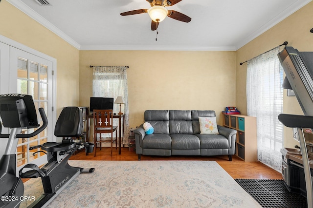 office space featuring ceiling fan, ornamental molding, and light wood-style floors