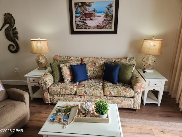 living room with wood-type flooring