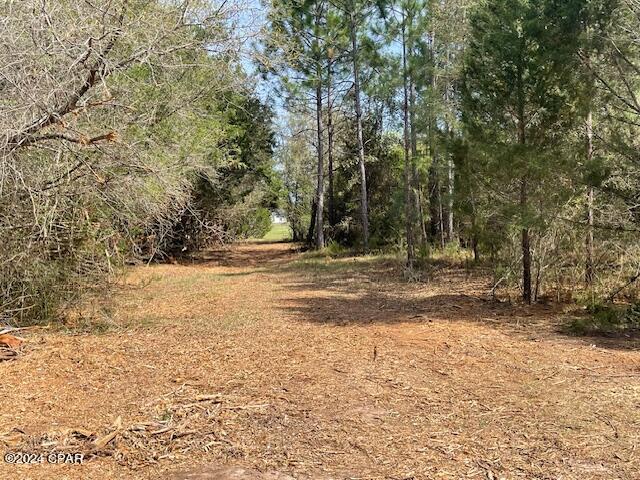 Listing photo 3 for 0 Sheffield Dr, Marianna FL 32446