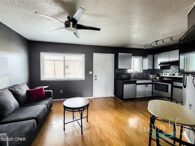 kitchen with ceiling fan, light hardwood / wood-style floors, track lighting, decorative backsplash, and appliances with stainless steel finishes