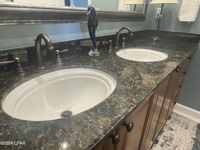 details with double vanity and a sink