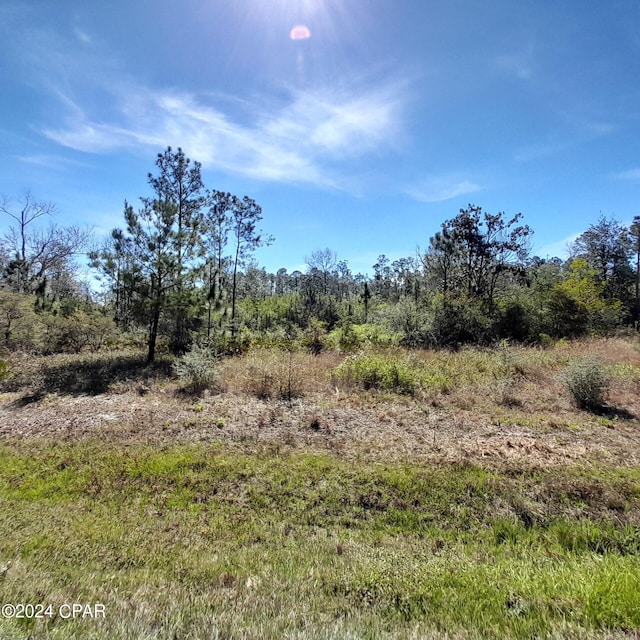 Listing photo 3 for XXX NW Barksdale Ln, Fountain FL 32438