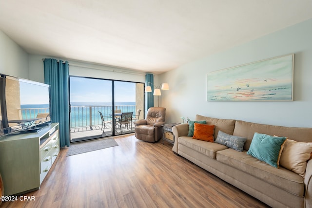 living room featuring wood-type flooring and a water view