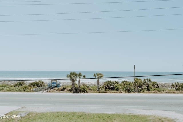 water view featuring a beach view