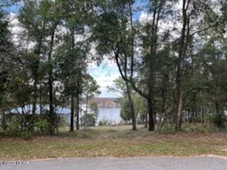 Listing photo 2 for 0000 Paradise Lakes Rd, Chipley FL 32428