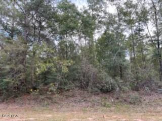 Listing photo 3 for 0000 Paradise Lakes Rd, Chipley FL 32428