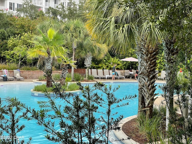 view of pool featuring a patio area