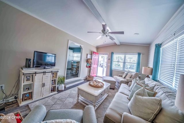 living room with ceiling fan, lofted ceiling with beams, light hardwood / wood-style floors, and crown molding