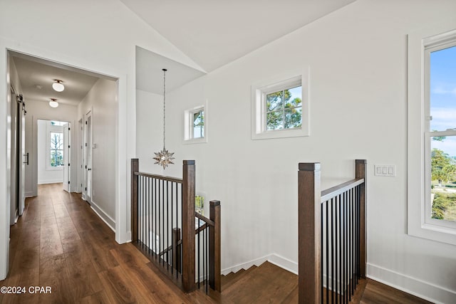 corridor with dark hardwood / wood-style flooring, lofted ceiling, and a wealth of natural light