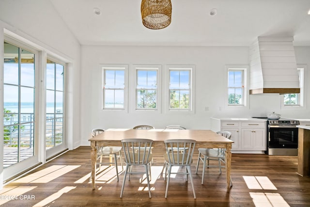 dining room featuring dark hardwood / wood-style floors, a healthy amount of sunlight, and a water view