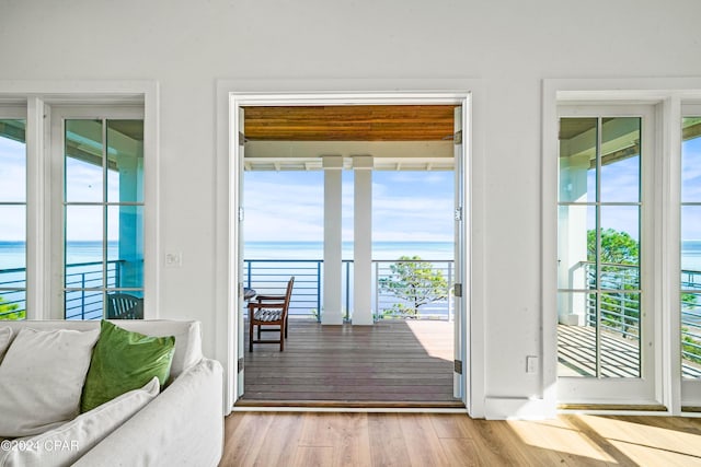 doorway to outside with a water view, a healthy amount of sunlight, and light hardwood / wood-style floors