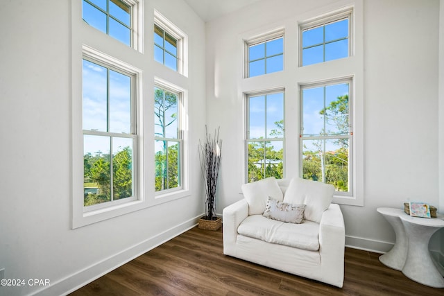 living area with plenty of natural light and dark hardwood / wood-style floors